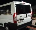 Білий Фіат Дукато, об'ємом двигуна 2.3 л та пробігом 287 тис. км за 8500 $, фото 13 на Automoto.ua