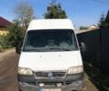Белый Фиат Дукато, объемом двигателя 2.3 л и пробегом 200 тыс. км за 3700 $, фото 1 на Automoto.ua