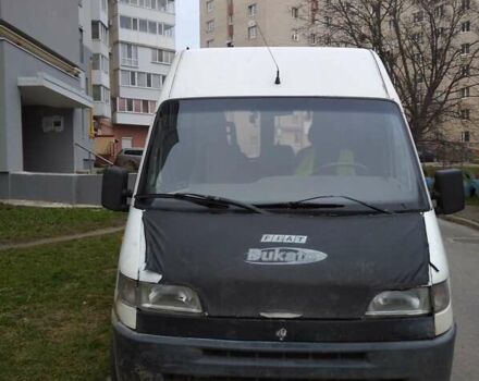 Белый Фиат Дукато, объемом двигателя 2.8 л и пробегом 460 тыс. км за 2100 $, фото 2 на Automoto.ua