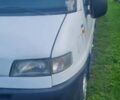 Білий Фіат Дукато, об'ємом двигуна 2.8 л та пробігом 350 тис. км за 2700 $, фото 14 на Automoto.ua