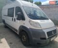 Белый Фиат Дукато, объемом двигателя 2.3 л и пробегом 290 тыс. км за 9500 $, фото 1 на Automoto.ua