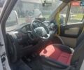 Белый Фиат Дукато, объемом двигателя 0 л и пробегом 280 тыс. км за 15500 $, фото 11 на Automoto.ua