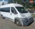 Белый Фиат Дукато, объемом двигателя 0 л и пробегом 280 тыс. км за 15500 $, фото 1 на Automoto.ua