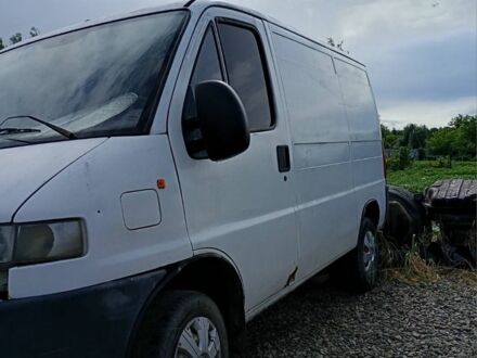 Белый Фиат Дукато, объемом двигателя 1.9 л и пробегом 1 тыс. км за 1600 $, фото 1 на Automoto.ua