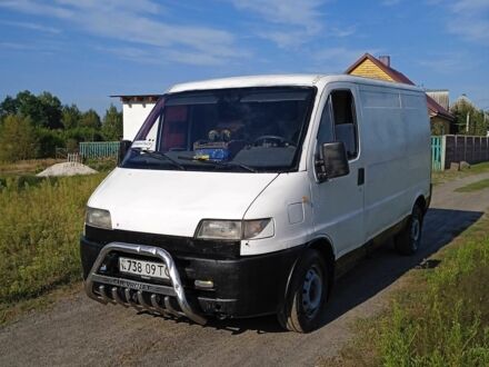 Білий Фіат Дукато, об'ємом двигуна 0 л та пробігом 250 тис. км за 2300 $, фото 1 на Automoto.ua