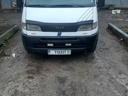 Белый Фиат Дукато, объемом двигателя 2.5 л и пробегом 370 тыс. км за 2999 $, фото 1 на Automoto.ua