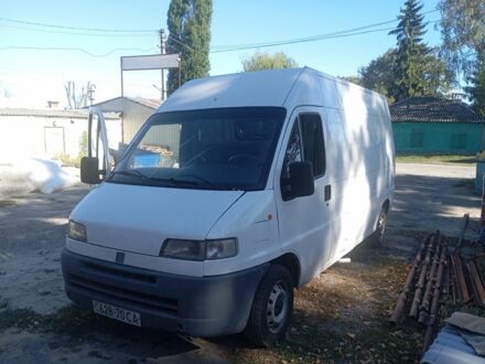 Білий Фіат Дукато, об'ємом двигуна 0 л та пробігом 300 тис. км за 2500 $, фото 1 на Automoto.ua