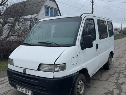 Белый Фиат Дукато, объемом двигателя 2 л и пробегом 222 тыс. км за 1300 $, фото 1 на Automoto.ua