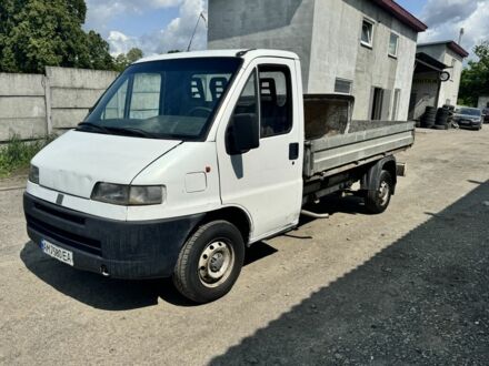 Фіат Дукато 1999 у Малине на Automoto.ua Білий Фіат Дукато, об'ємом двигуна 2.8 л та пробігом 280 тис. км за 3000 $, фото 1 на Automoto.ua