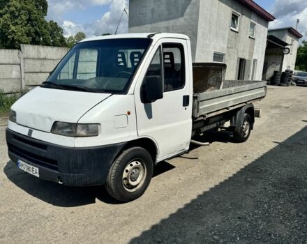 Белый Фиат Дукато, объемом двигателя 2.8 л и пробегом 280 тыс. км за 3000 $, фото 1 на Automoto.ua