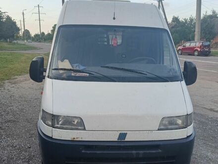 Белый Фиат Дукато, объемом двигателя 2.8 л и пробегом 400 тыс. км за 2300 $, фото 1 на Automoto.ua