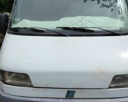 Білий Фіат Дукато, об'ємом двигуна 2.8 л та пробігом 345 тис. км за 3100 $, фото 1 на Automoto.ua