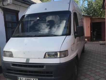 Фиат Дукато 1999 в Полонном на Automoto.ua Белый Фиат Дукато, объемом двигателя 2.8 л и пробегом 3 тыс. км за 2500 $, фото 1 на Automoto.ua