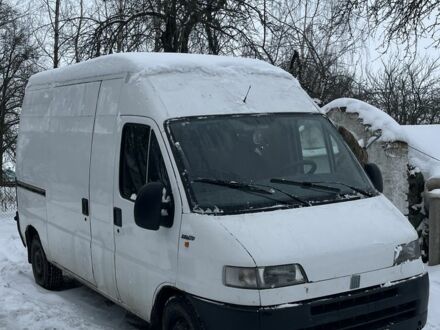 Белый Фиат Дукато, объемом двигателя 2.8 л и пробегом 380 тыс. км за 3000 $, фото 1 на Automoto.ua