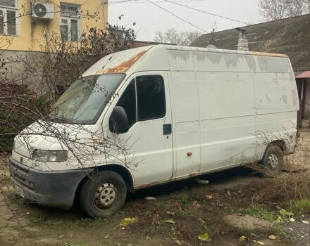 Белый Фиат Дукато, объемом двигателя 2.8 л и пробегом 300 тыс. км за 1500 $, фото 1 на Automoto.ua