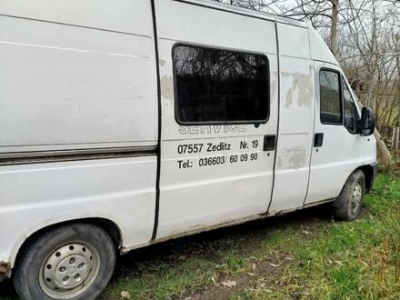 Белый Фиат Дукато, объемом двигателя 0 л и пробегом 500 тыс. км за 1700 $, фото 1 на Automoto.ua