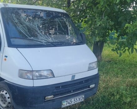 Белый Фиат Дукато, объемом двигателя 2.8 л и пробегом 307 тыс. км за 1351 $, фото 1 на Automoto.ua