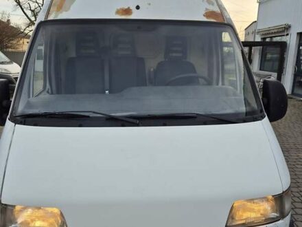 Белый Фиат Дукато, объемом двигателя 2.8 л и пробегом 564 тыс. км за 3500 $, фото 1 на Automoto.ua