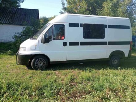 Білий Фіат Дукато, об'ємом двигуна 2.8 л та пробігом 10 тис. км за 2350 $, фото 1 на Automoto.ua