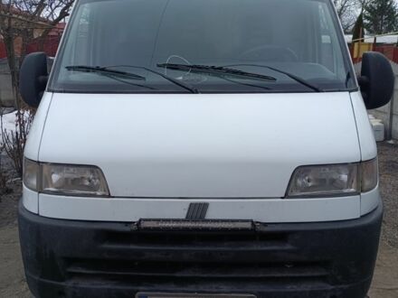 Белый Фиат Дукато, объемом двигателя 2.8 л и пробегом 350 тыс. км за 3500 $, фото 1 на Automoto.ua