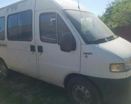 Белый Фиат Дукато, объемом двигателя 2.8 л и пробегом 11 тыс. км за 1500 $, фото 1 на Automoto.ua