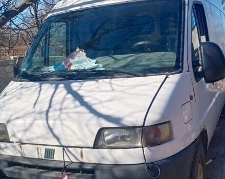 Белый Фиат Дукато, объемом двигателя 2.8 л и пробегом 12 тыс. км за 2800 $, фото 1 на Automoto.ua