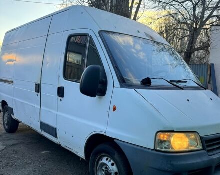 Белый Фиат Дукато, объемом двигателя 2.8 л и пробегом 0 тыс. км за 2100 $, фото 1 на Automoto.ua