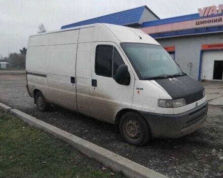 Белый Фиат Дукато, объемом двигателя 2.8 л и пробегом 376 тыс. км за 2200 $, фото 1 на Automoto.ua