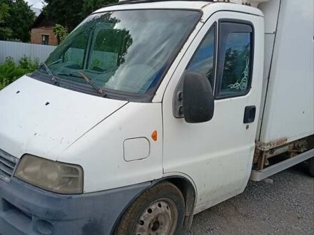 Белый Фиат Дукато, объемом двигателя 2.8 л и пробегом 500 тыс. км за 3000 $, фото 1 на Automoto.ua