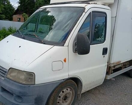 Белый Фиат Дукато, объемом двигателя 2.8 л и пробегом 500 тыс. км за 3000 $, фото 1 на Automoto.ua