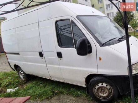 Фиат Дукато 2003 в Черновцах на Automoto.ua Белый Фиат Дукато, объемом двигателя 2.8 л и пробегом 334 тыс. км за 2000 $, фото 1 на Automoto.ua