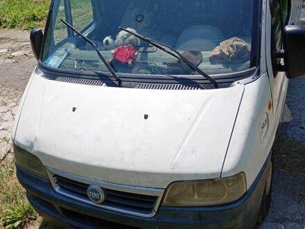 Фіат Дукато 2003 у Лубнах на Automoto.ua Білий Фіат Дукато, об'ємом двигуна 2.3 л та пробігом 3 тис. км за 2700 $, фото 1 на Automoto.ua