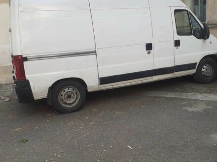 Фиат Дукато 2003 в Одессе на Automoto.ua Белый Фиат Дукато, объемом двигателя 2.8 л и пробегом 350 тыс. км за 3482 $, фото 1 на Automoto.ua