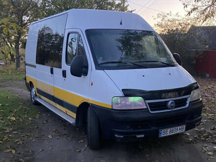 Фиат Дукато 2004 в Вознесенске на Automoto.ua Белый Фиат Дукато, объемом двигателя 2.29 л и пробегом 500 тыс. км за 6500 $, фото 1 на Automoto.ua