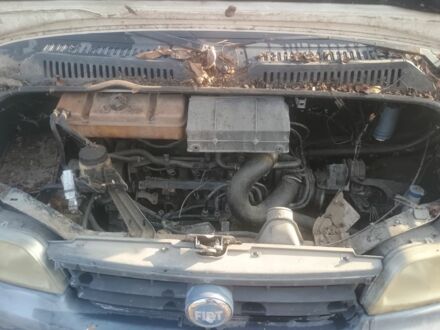 Белый Фиат Дукато, объемом двигателя 2 л и пробегом 300 тыс. км за 500 $, фото 1 на Automoto.ua