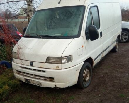 Белый Фиат Дукато, объемом двигателя 0 л и пробегом 5 тыс. км за 1000 $, фото 1 на Automoto.ua