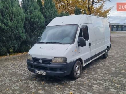 Белый Фиат Дукато, объемом двигателя 2.8 л и пробегом 300 тыс. км за 1650 $, фото 1 на Automoto.ua