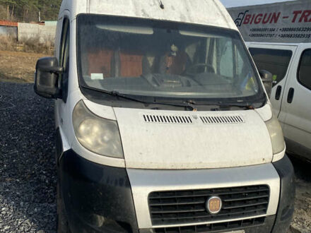 Белый Фиат Дукато, объемом двигателя 2.3 л и пробегом 317 тыс. км за 6600 $, фото 1 на Automoto.ua