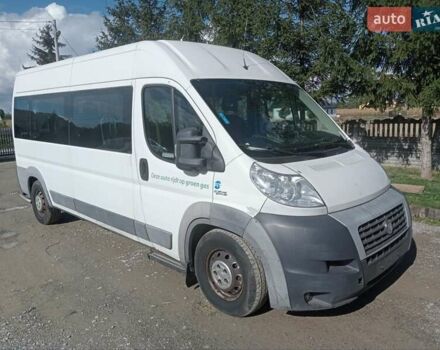 Белый Фиат Дукато, объемом двигателя 0 л и пробегом 280 тыс. км за 15500 $, фото 1 на Automoto.ua