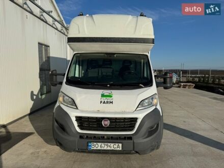 Белый Фиат Дукато, объемом двигателя 3 л и пробегом 284 тыс. км за 15400 $, фото 1 на Automoto.ua