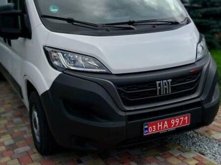 Фиат Дукато 2021 в Стрые на Automoto.ua Белый Фиат Дукато, объемом двигателя 2.18 л и пробегом 280 тыс. км за 24600 $, фото 1 на Automoto.ua