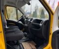 купить новое авто Фиат Дукато 2024 года от официального дилера FIAT Центр Полтава Фиат фото