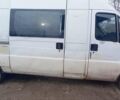 Білий Фіат Дукато пас., об'ємом двигуна 0 л та пробігом 500 тис. км за 3800 $, фото 3 на Automoto.ua