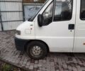 Білий Фіат Дукато пас., об'ємом двигуна 2.9 л та пробігом 370 тис. км за 3592 $, фото 2 на Automoto.ua