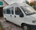 Білий Фіат Дукато пас., об'ємом двигуна 2.9 л та пробігом 370 тис. км за 3592 $, фото 6 на Automoto.ua