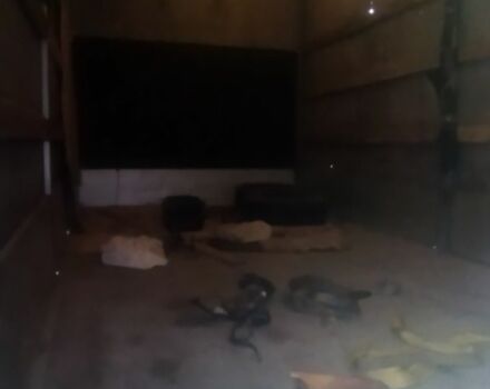 Серый Фиат Дукато, объемом двигателя 3 л и пробегом 503 тыс. км за 319 $, фото 13 на Automoto.ua