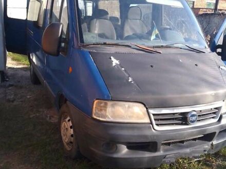 Фиат Дукато 2004 в Луцке на Automoto.ua Синий Фиат Дукато, объемом двигателя 2.29 л и пробегом 272 тыс. км за 3500 $, фото 1 на Automoto.ua