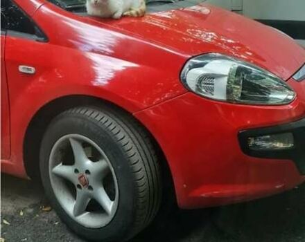 Красный Фиат Гранде Пунто, объемом двигателя 1.24 л и пробегом 160 тыс. км за 4800 $, фото 5 на Automoto.ua