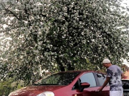 Красный Фиат Гранде Пунто, объемом двигателя 1.6 л и пробегом 230 тыс. км за 3500 $, фото 1 на Automoto.ua