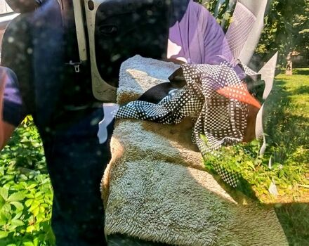 Фиат Добло, объемом двигателя 1.3 л и пробегом 290 тыс. км за 2700 $, фото 4 на Automoto.ua